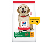 Hill's Science Plan Puppy Healthy Development Large Breed Pollo 14,5 Kg secco ex 12 kg OFFERTA € 3,80 / kg